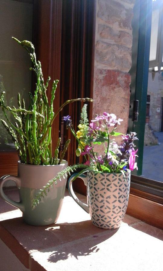 Casa Vacanze "Nonna Vela" Petroio Luaran gambar